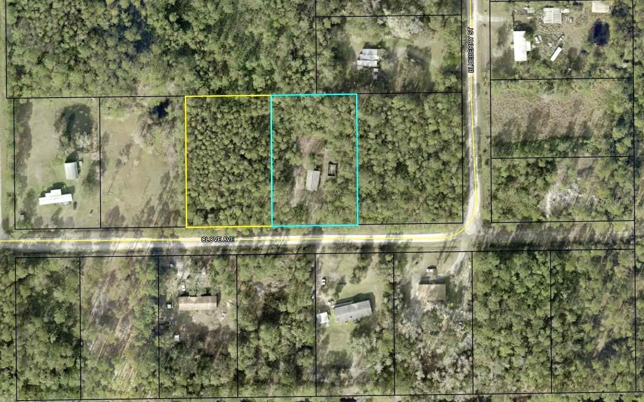 Details for 4374 Clove Avenue, BUNNELL, FL 32110