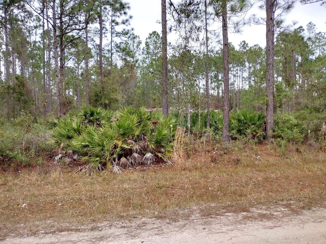 Image 5 of 8 For 4374 Clove Avenue