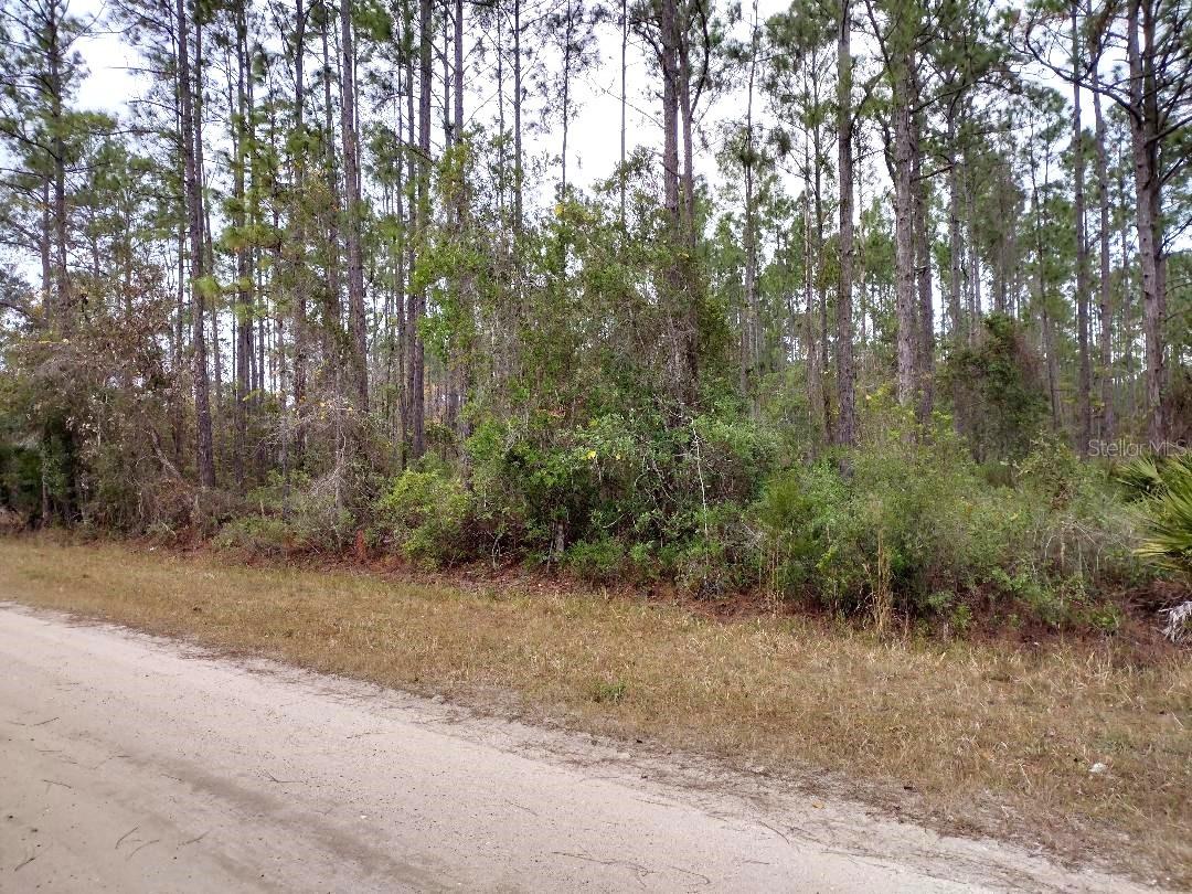 Image 6 of 8 For 4374 Clove Avenue