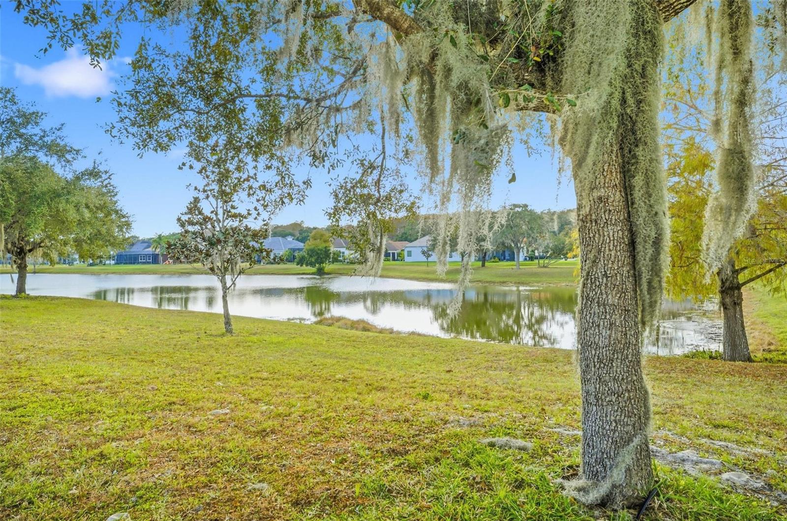 Image 4 of 97 For 55 New Water Oak Drive