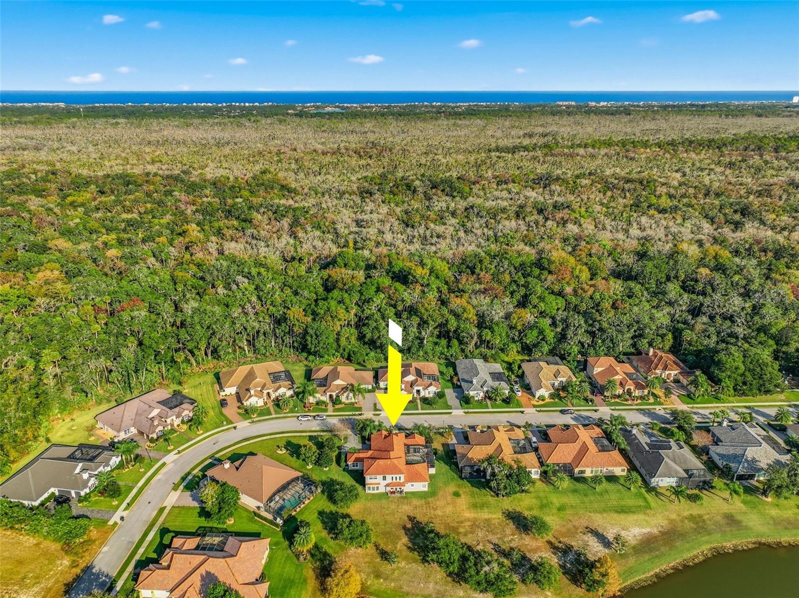 Image 91 of 97 For 55 New Water Oak Drive