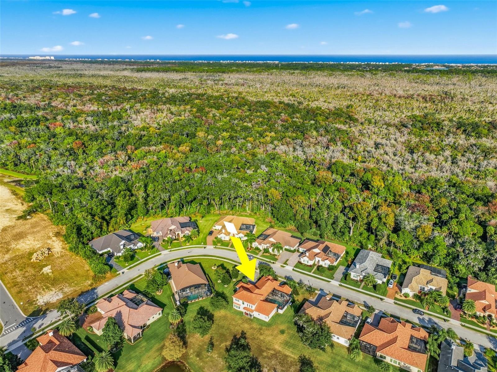 Image 92 of 97 For 55 New Water Oak Drive