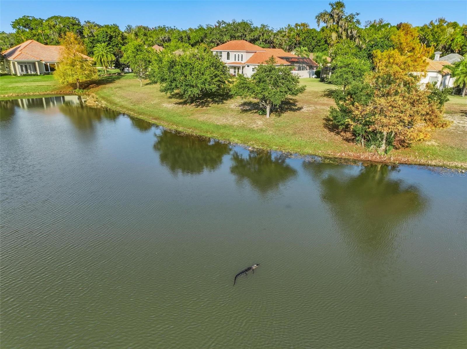 Image 97 of 97 For 55 New Water Oak Drive