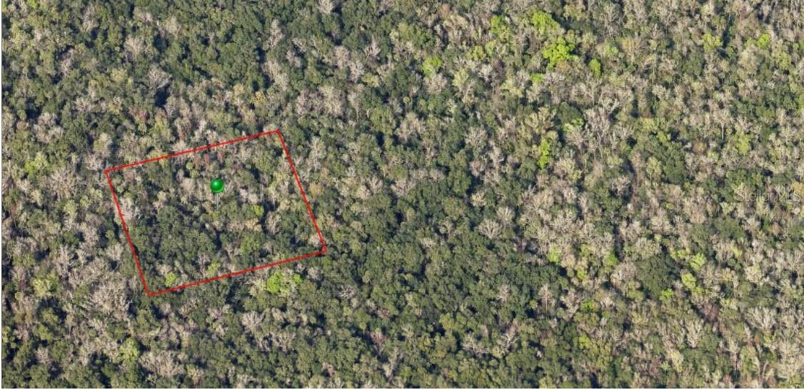 Details for 000 Reed Grove Road, OAK HILL, FL 32759