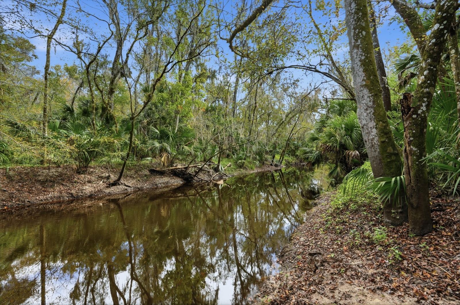 Image 28 of 99 For 120 Creek Crossing Road