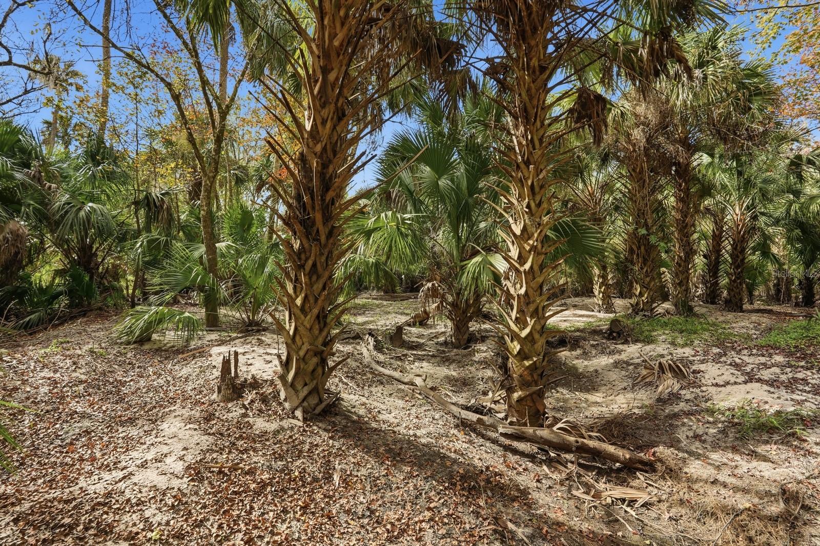 Image 30 of 99 For 120 Creek Crossing Road