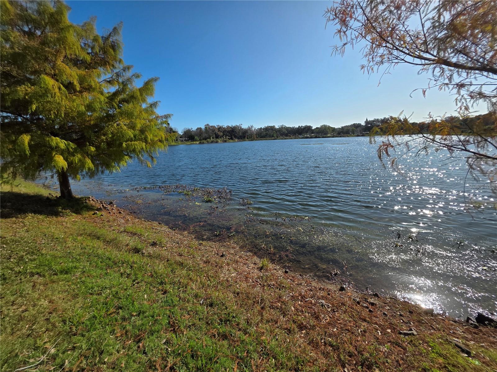 Image 66 of 99 For 1021 Alabama Avenue