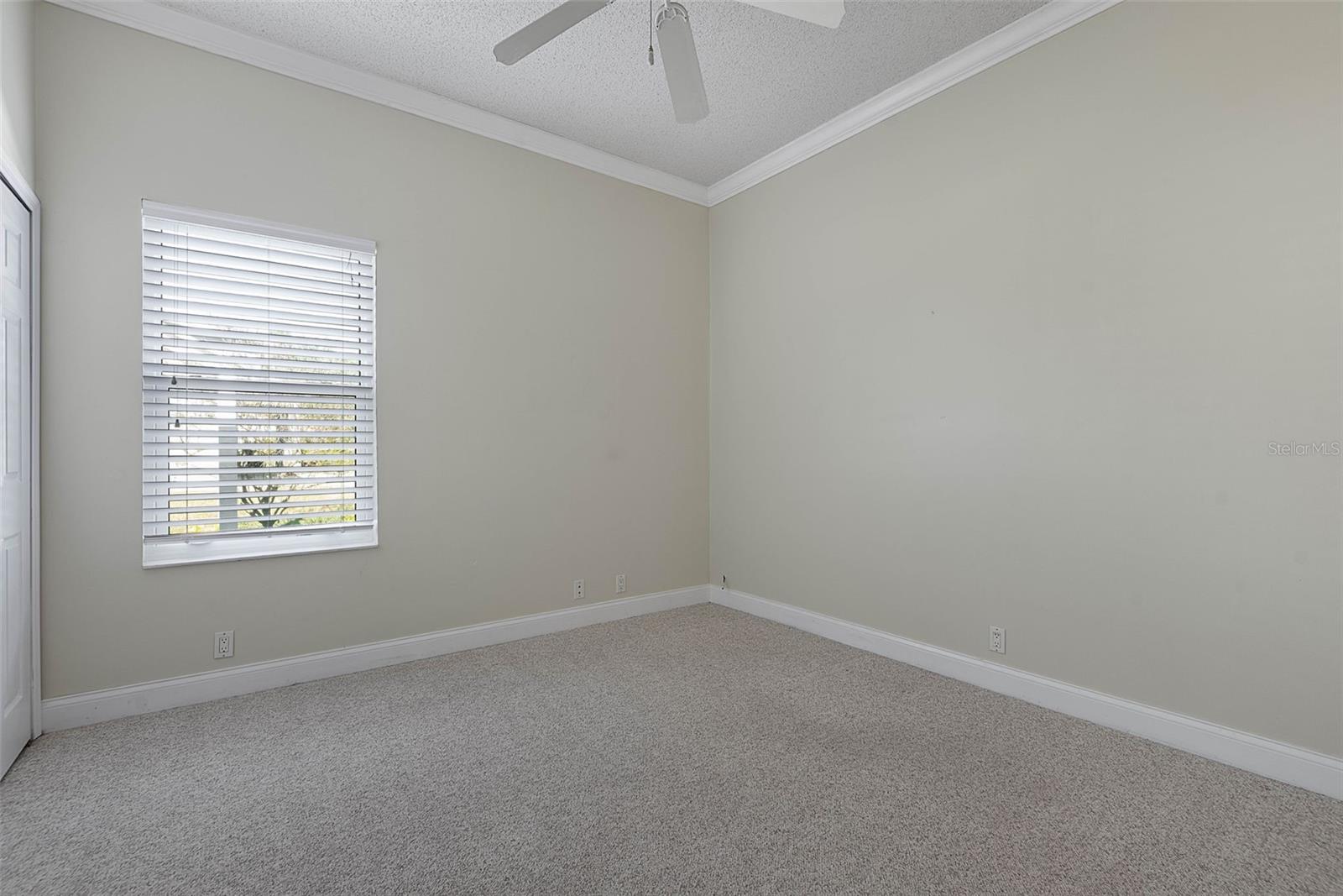 Image 36 of 68 For 325 Lambert Avenue