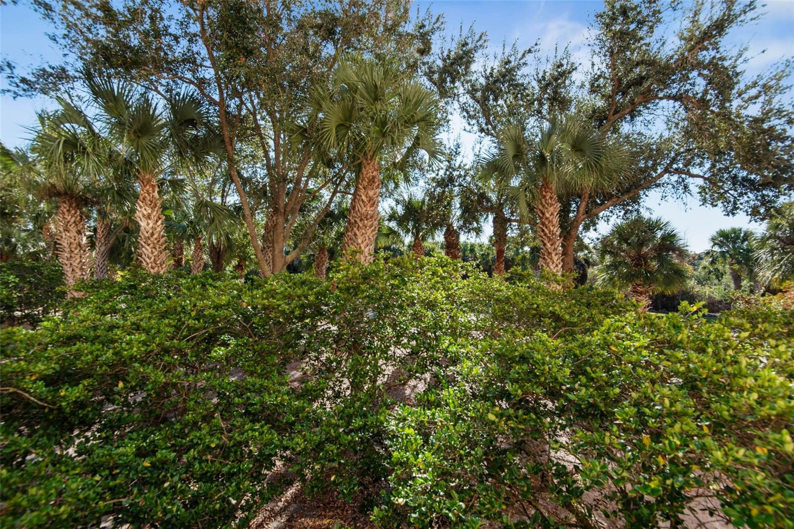 Image 26 of 59 For 15 Ocean Crest Way 1314