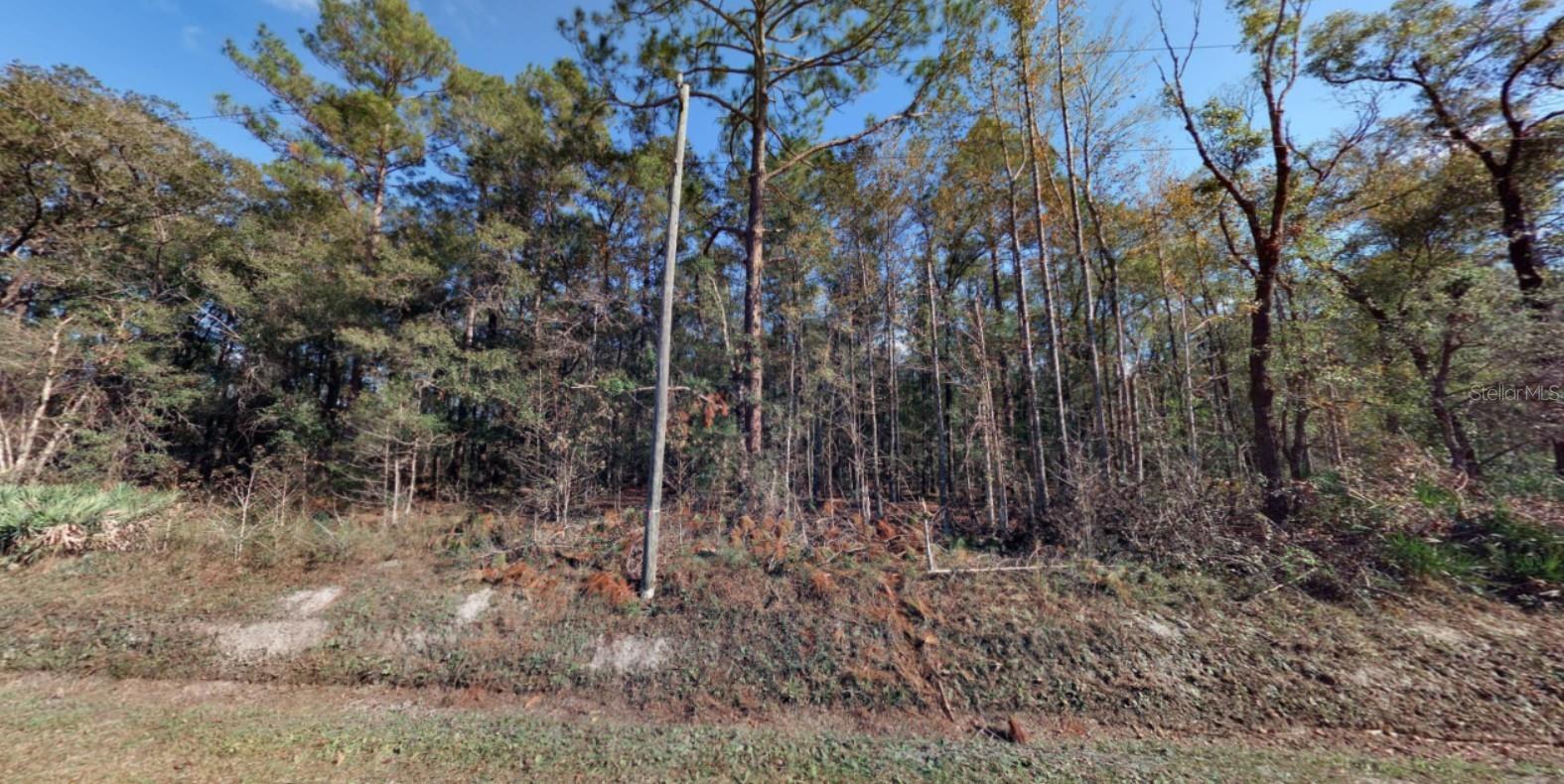 Details for 10410 Vaughan Avenue, HASTINGS, FL 32145