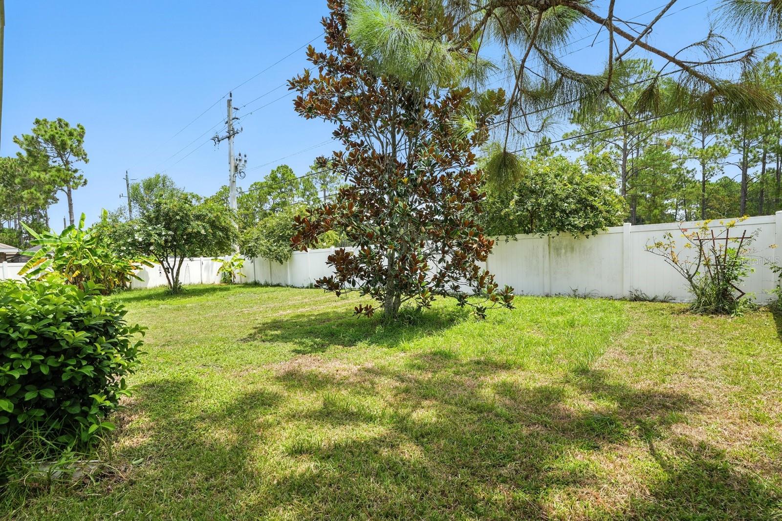 Image 34 of 43 For 8 Zorro Court