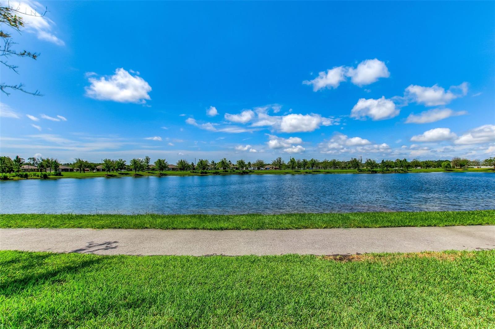 Image 77 of 88 For 76 Artist Oaks Court