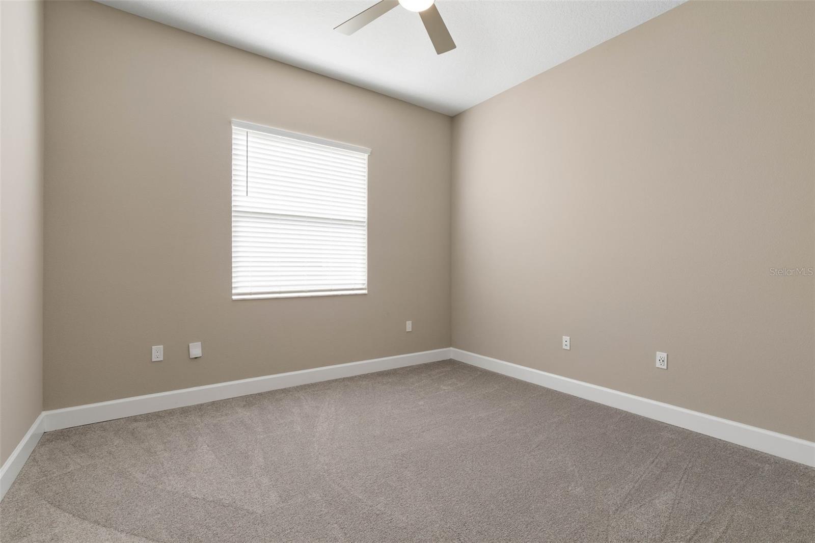 Image 45 of 82 For 7 Curtis Court