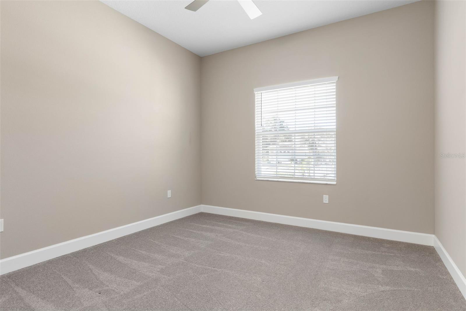 Image 49 of 82 For 7 Curtis Court