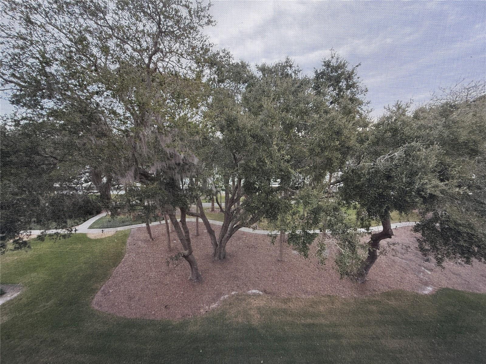 Image 7 of 20 For 200 Canopy Walk Ln  242