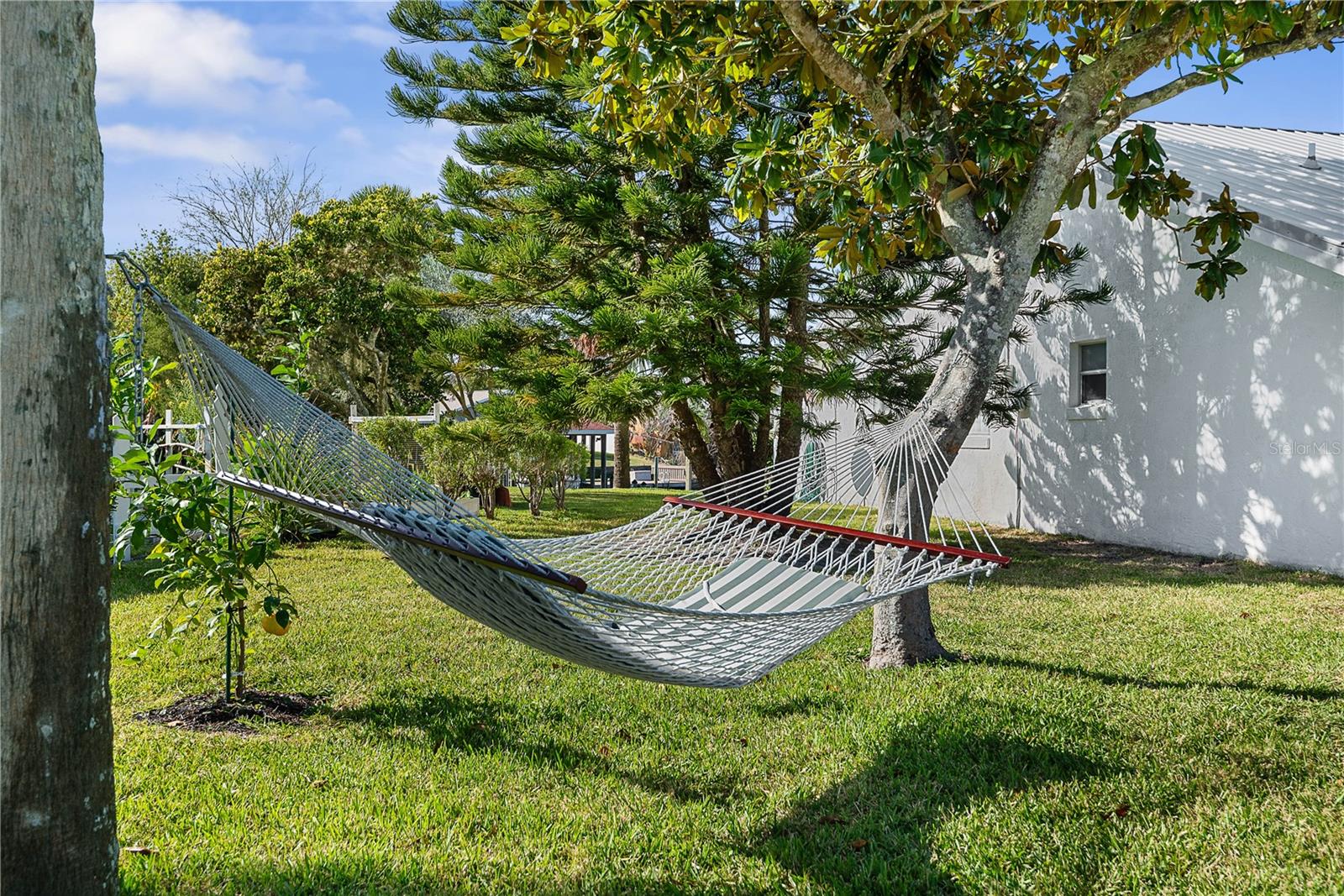 Image 9 of 80 For 31 Fleming Court