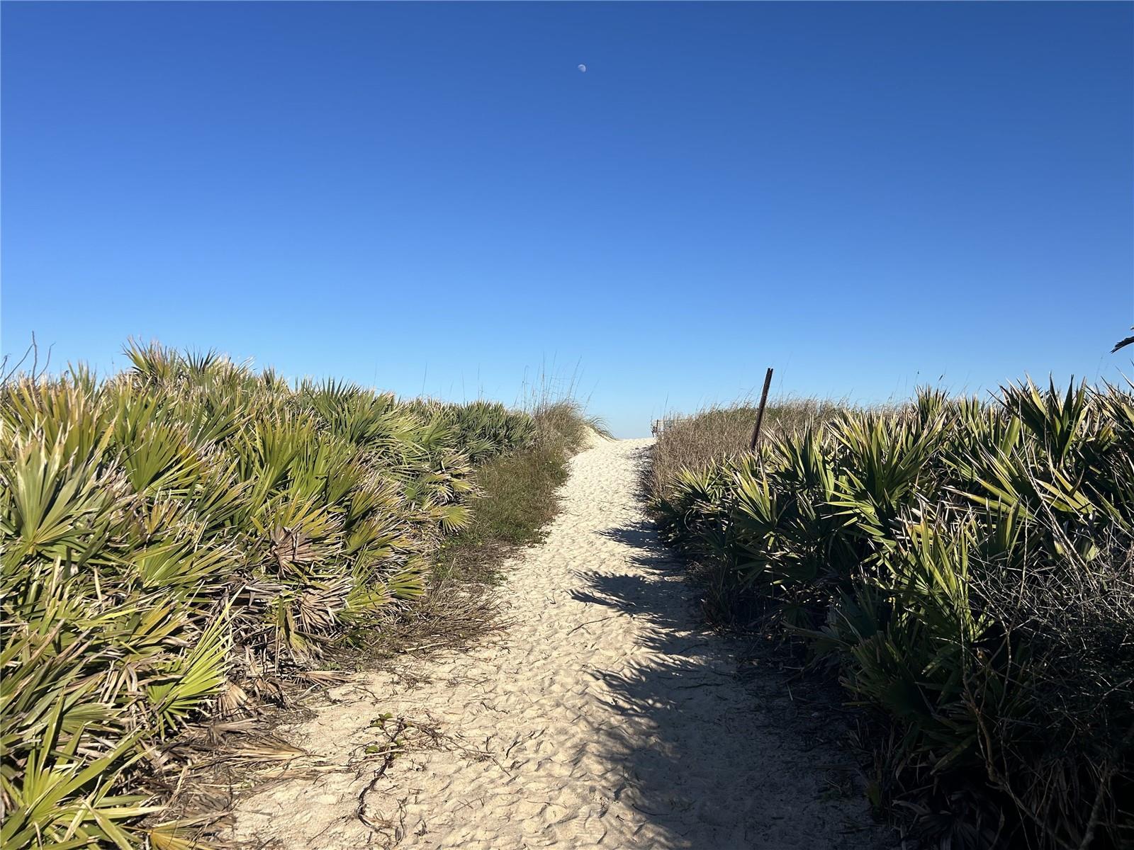 Image 45 of 48 For 11 Sweetbay Drive