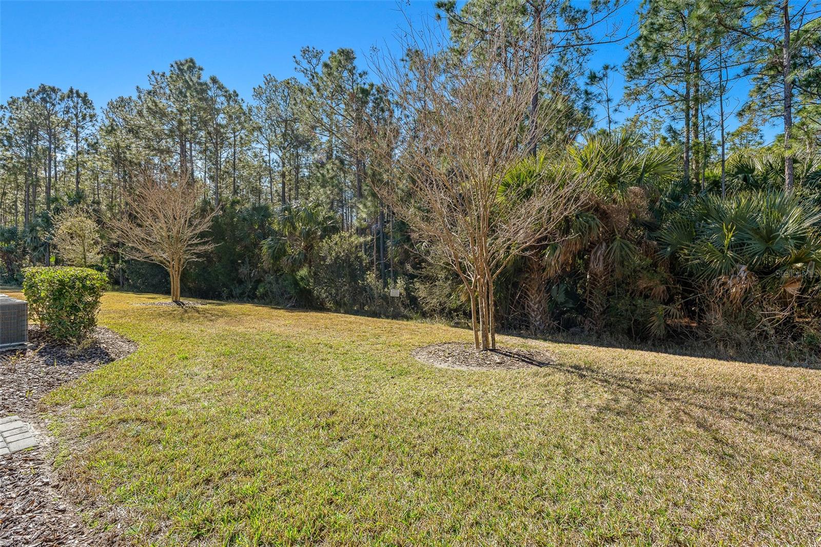 Image 48 of 50 For 831 Pinewood Drive