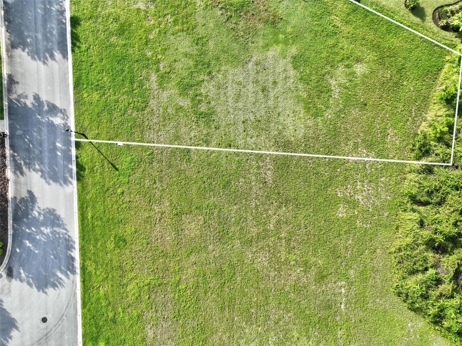 Image 8 of 20 For 102 Marsh Elder Square