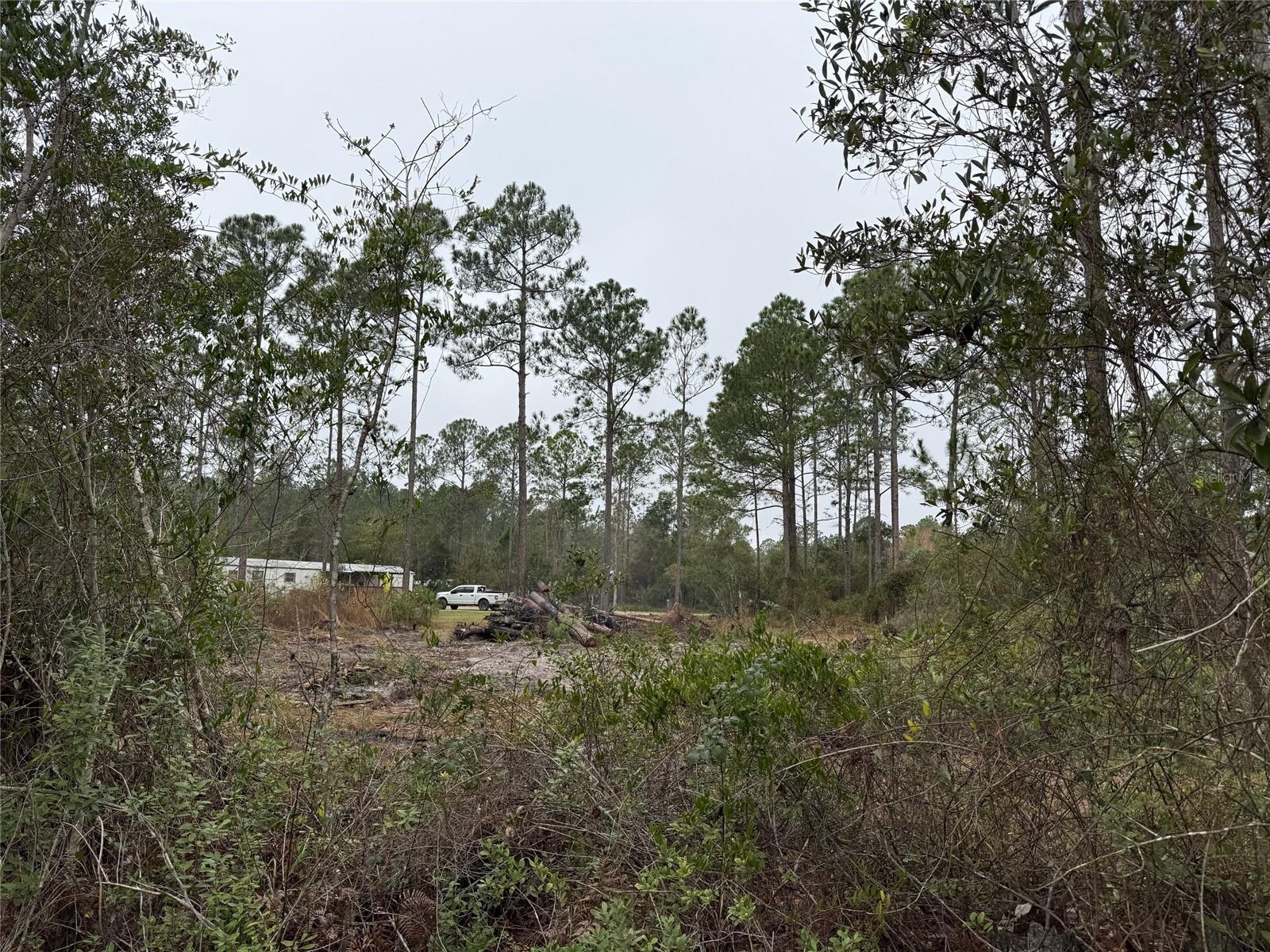 Image 10 of 13 For 4177 Fruitwood Avenue