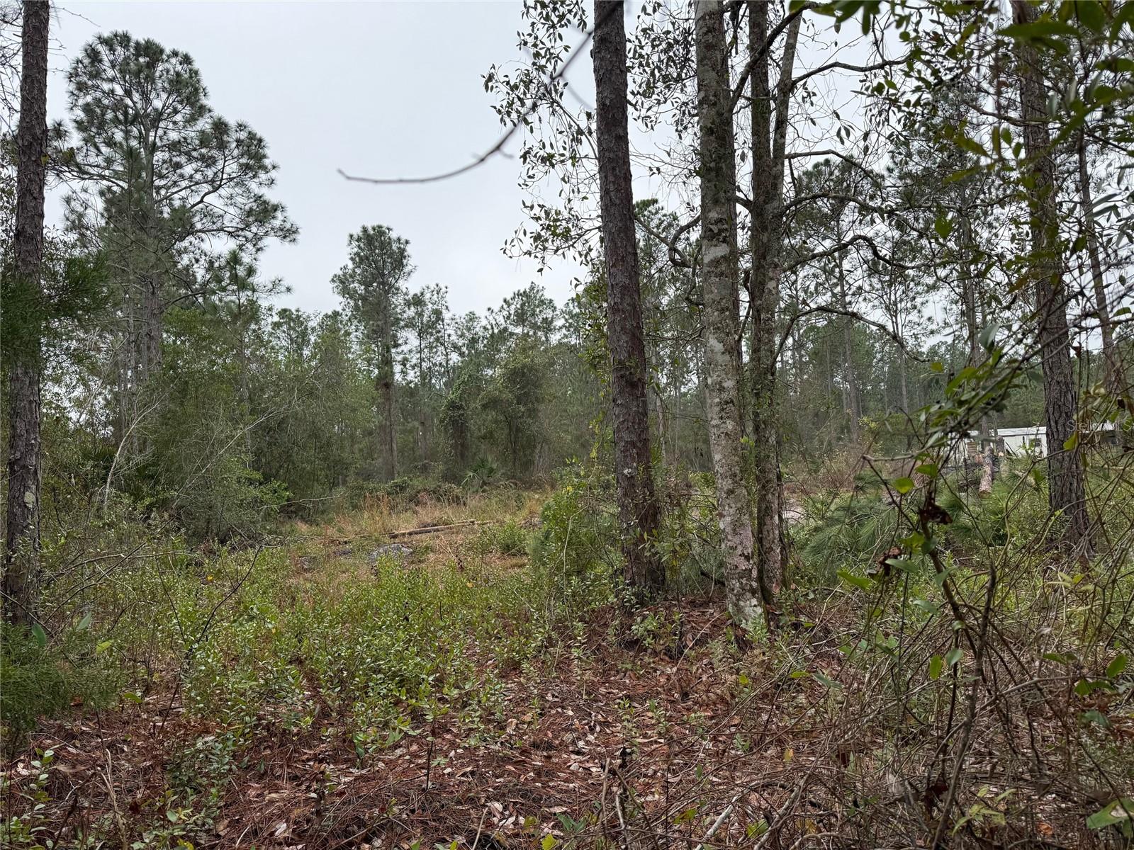 Image 11 of 13 For 4177 Fruitwood Avenue