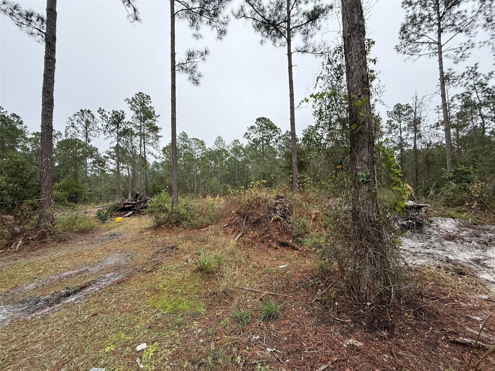 Image 5 of 13 For 4177 Fruitwood Avenue