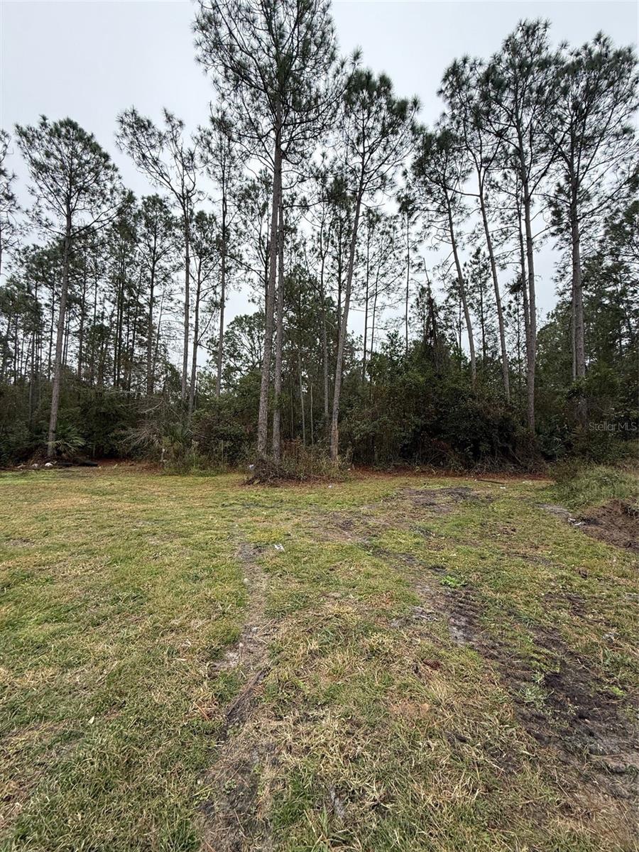 Image 6 of 13 For 4177 Fruitwood Avenue