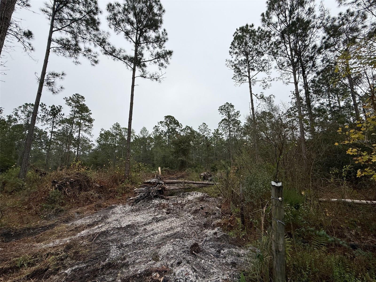 Image 7 of 13 For 4177 Fruitwood Avenue