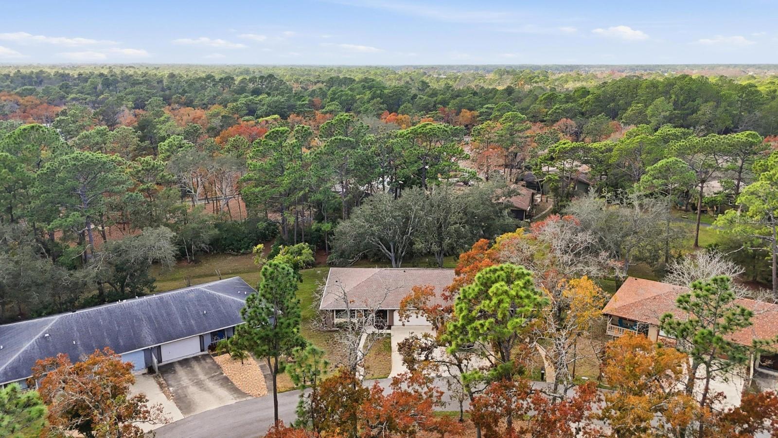 Image 40 of 43 For 11 Lakepoint Circle