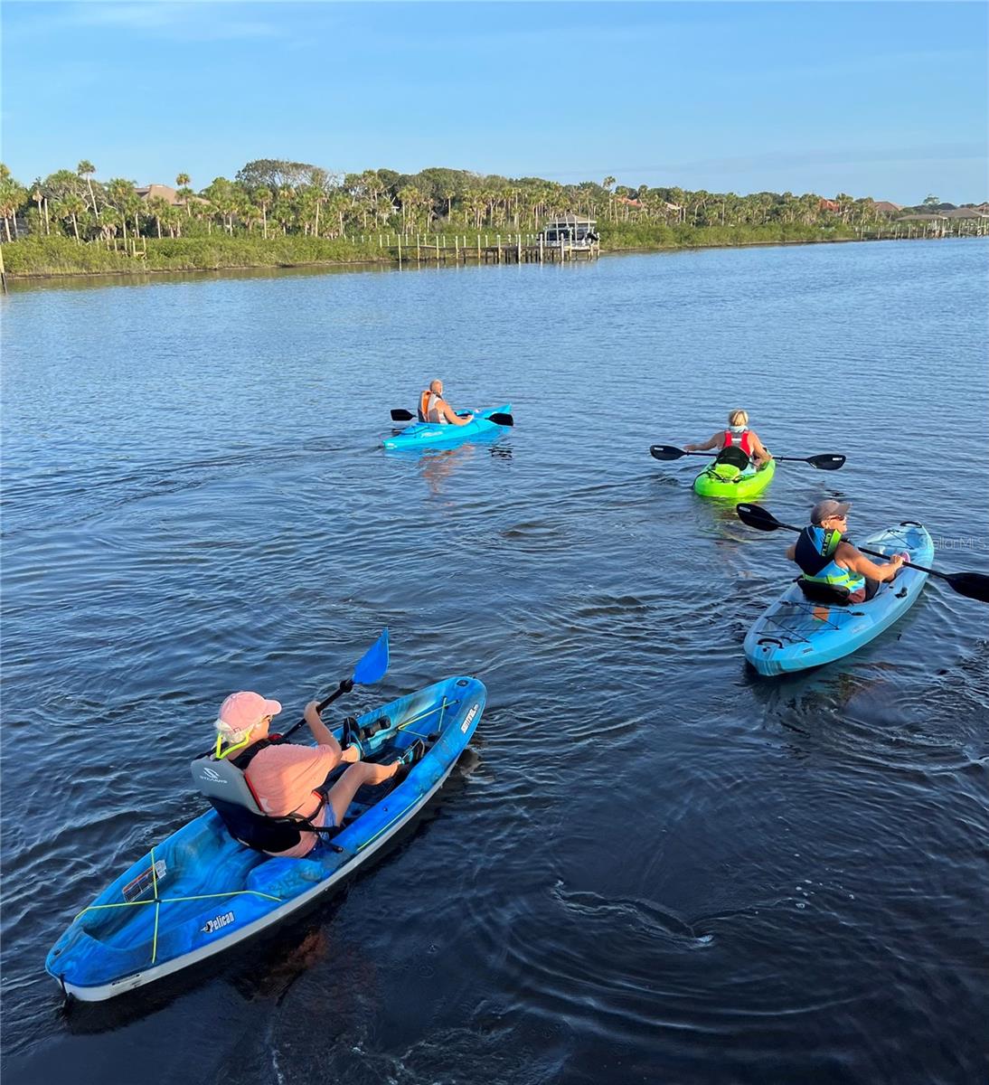 Image 54 of 59 For 254 Seabreeze Drive