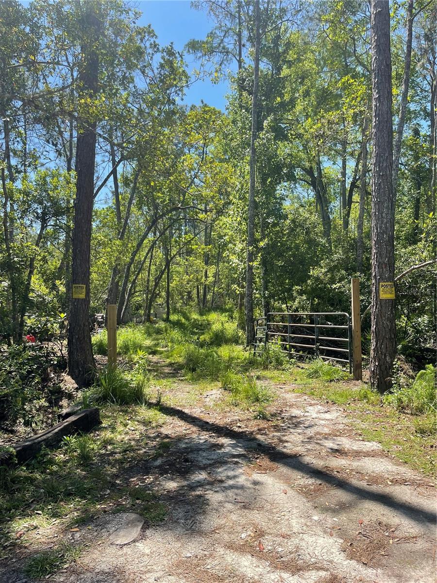 Details for 3781 Pine Pitch Court, ORMOND BEACH, FL 32174