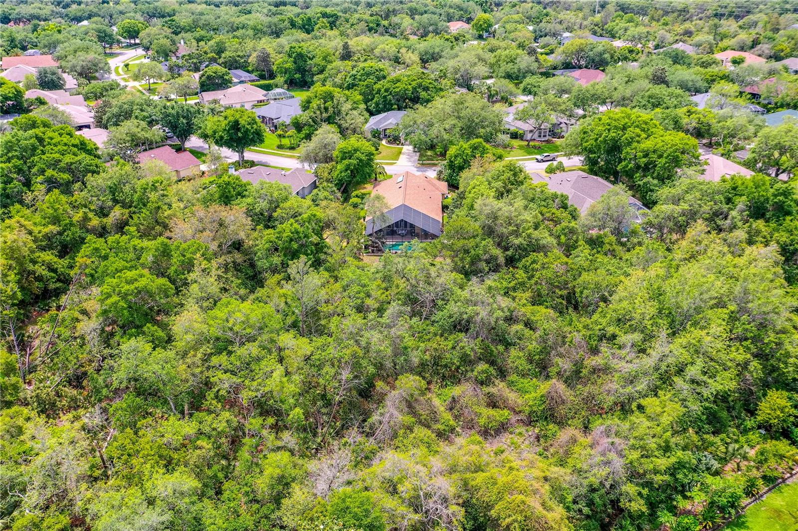 Image 44 of 65 For 3639 Mallow Drive