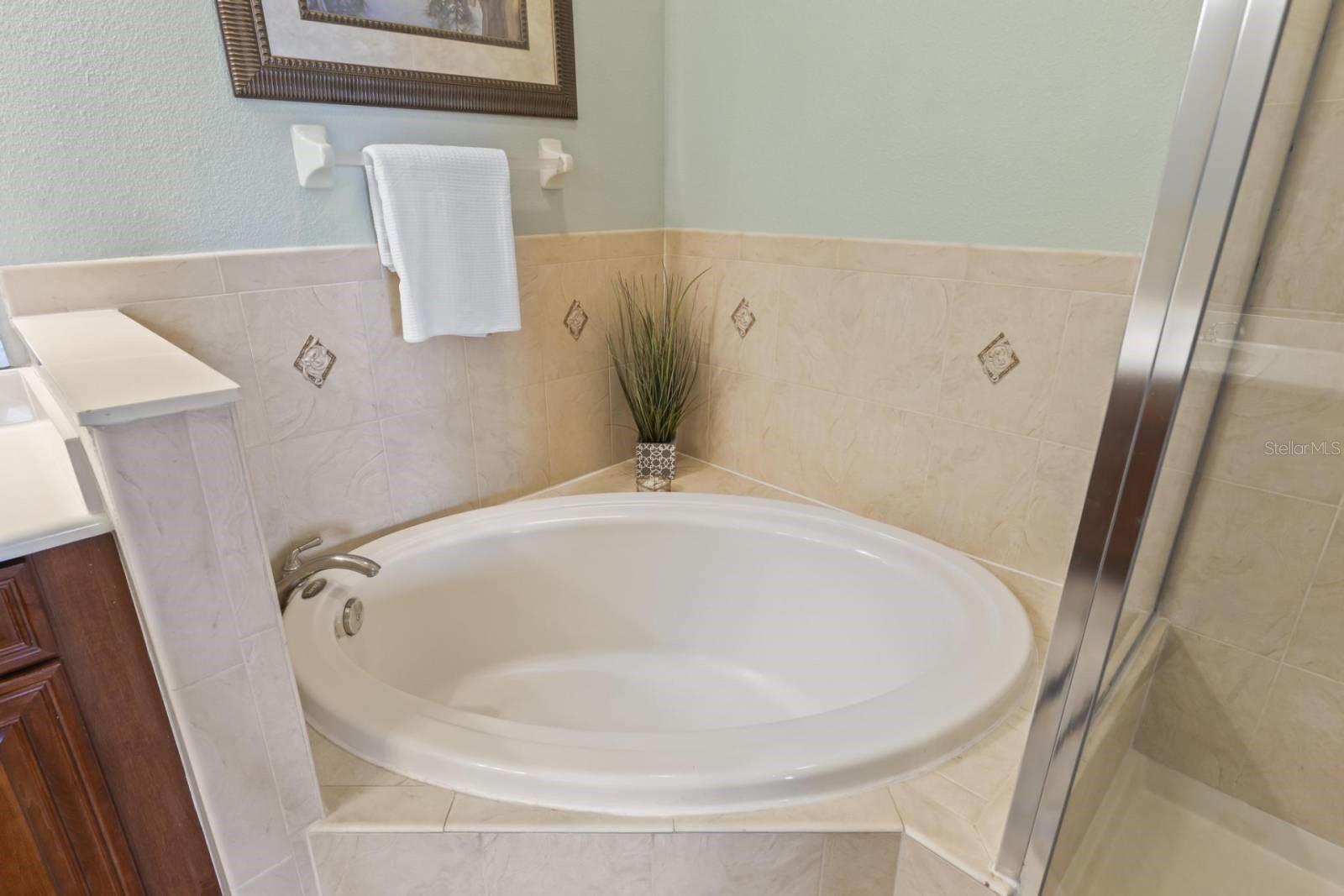 Image 21 of 53 For 1200 Cinnamon Beach Way 1134