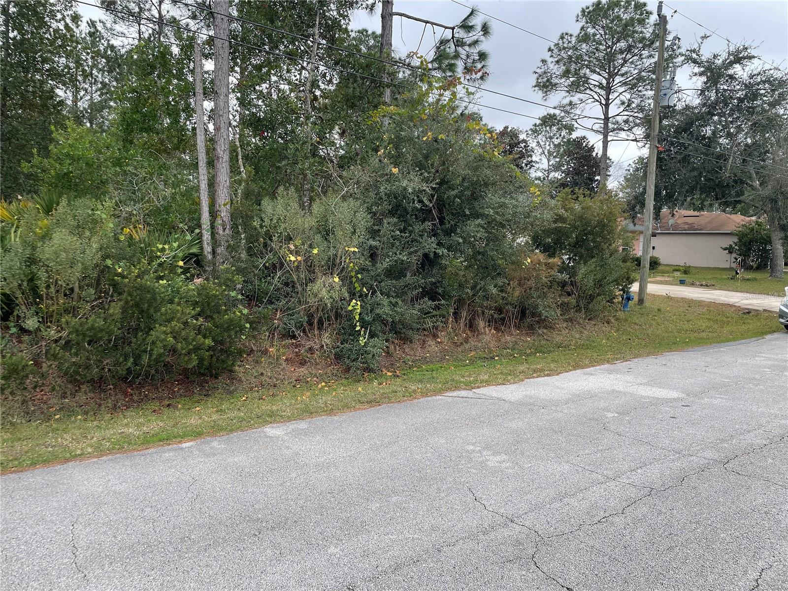 Image 2 of 3 For 16 Riverdale Lane