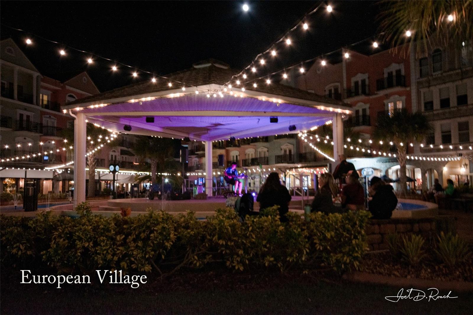 Image 36 of 36 For 12 Slipper Flower Path E