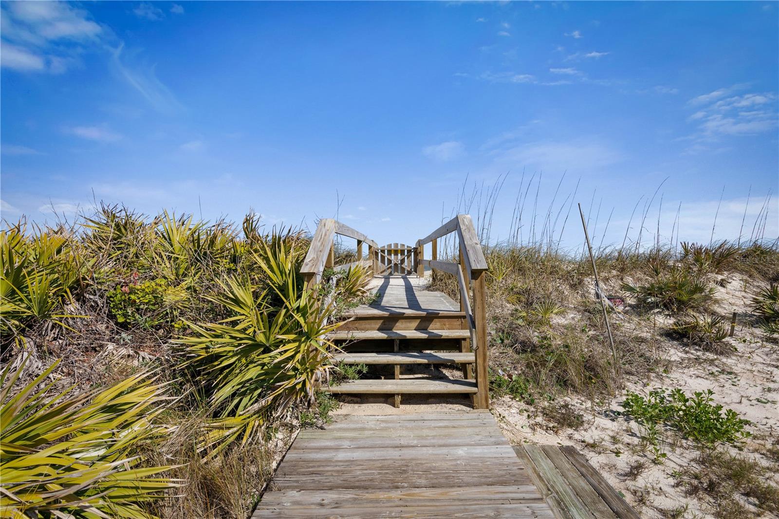 Image 55 of 69 For 19 Deerwood Street