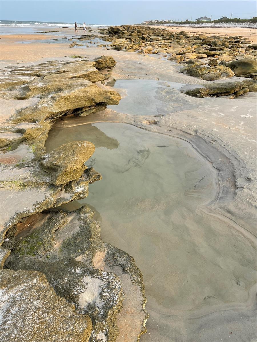 Image 59 of 69 For 19 Deerwood Street