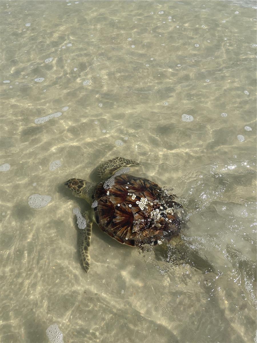 Image 60 of 69 For 19 Deerwood Street