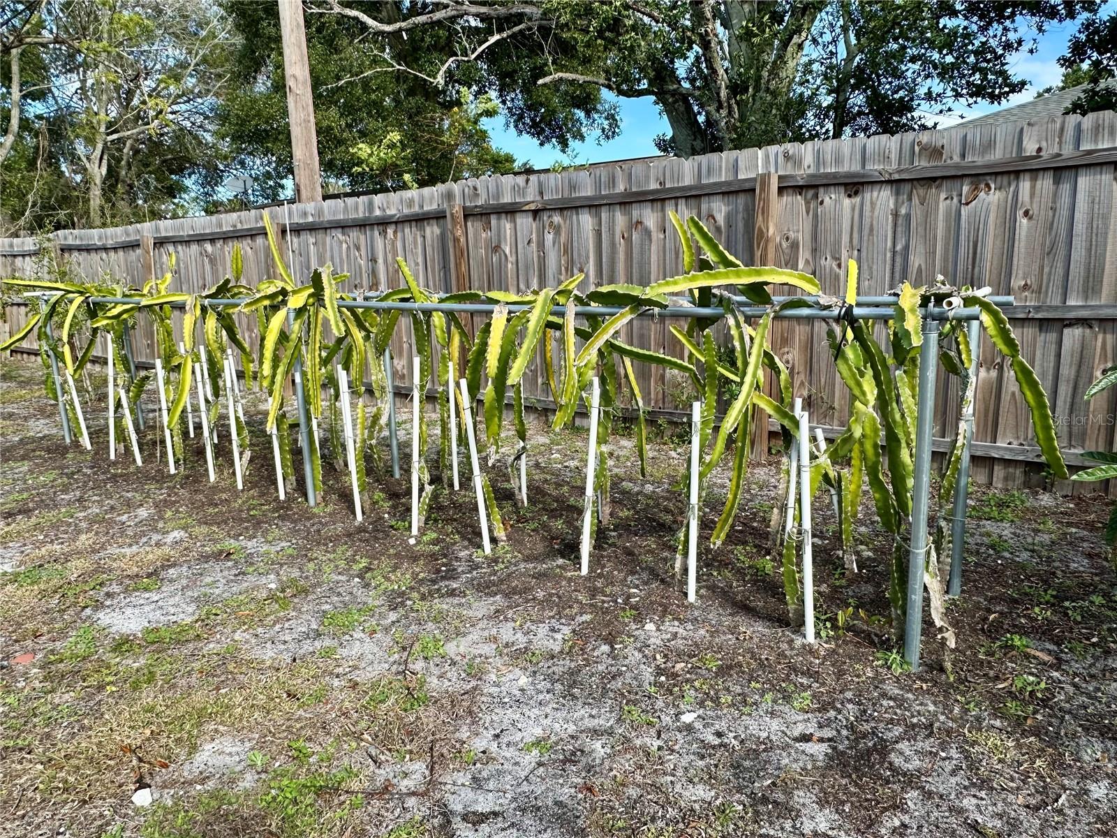 Image 34 of 42 For 1363 Rockhill Street