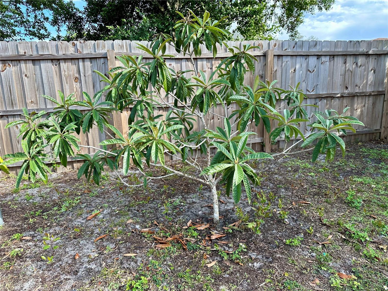 Image 35 of 42 For 1363 Rockhill Street