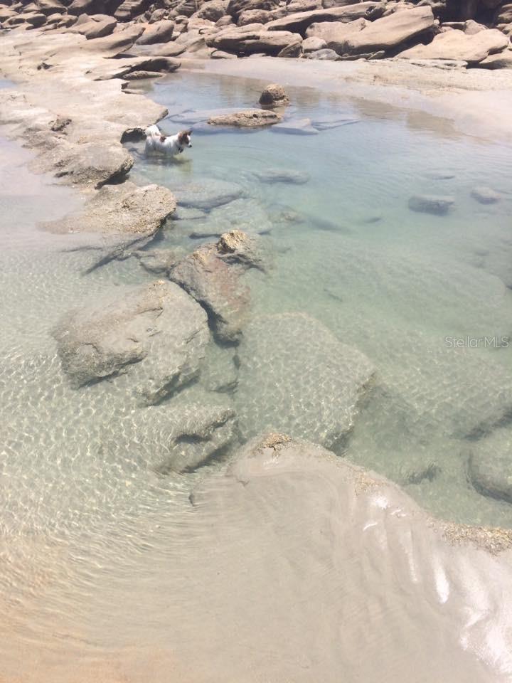 Image 37 of 44 For 7 Turtle Beach Drive