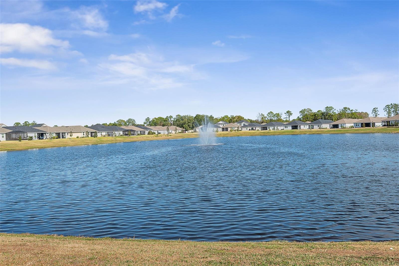 Image 2 of 61 For 20 Willow Street