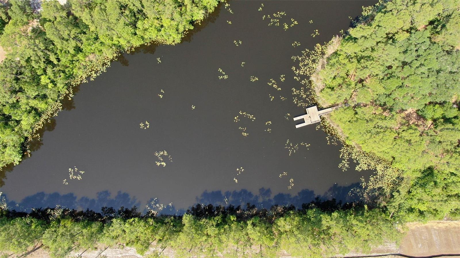 Image 56 of 61 For 20 Willow Street