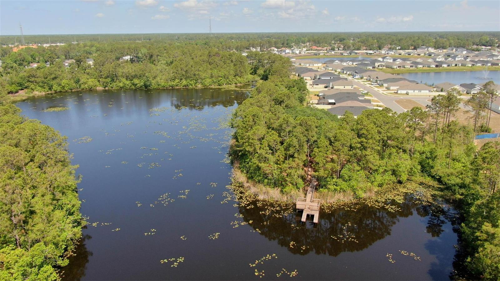 Image 57 of 61 For 20 Willow Street