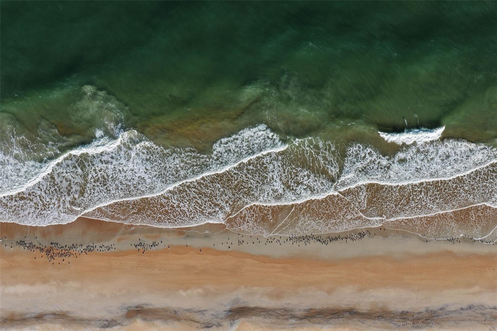 Image 88 of 100 For 131 Island Estates Parkway