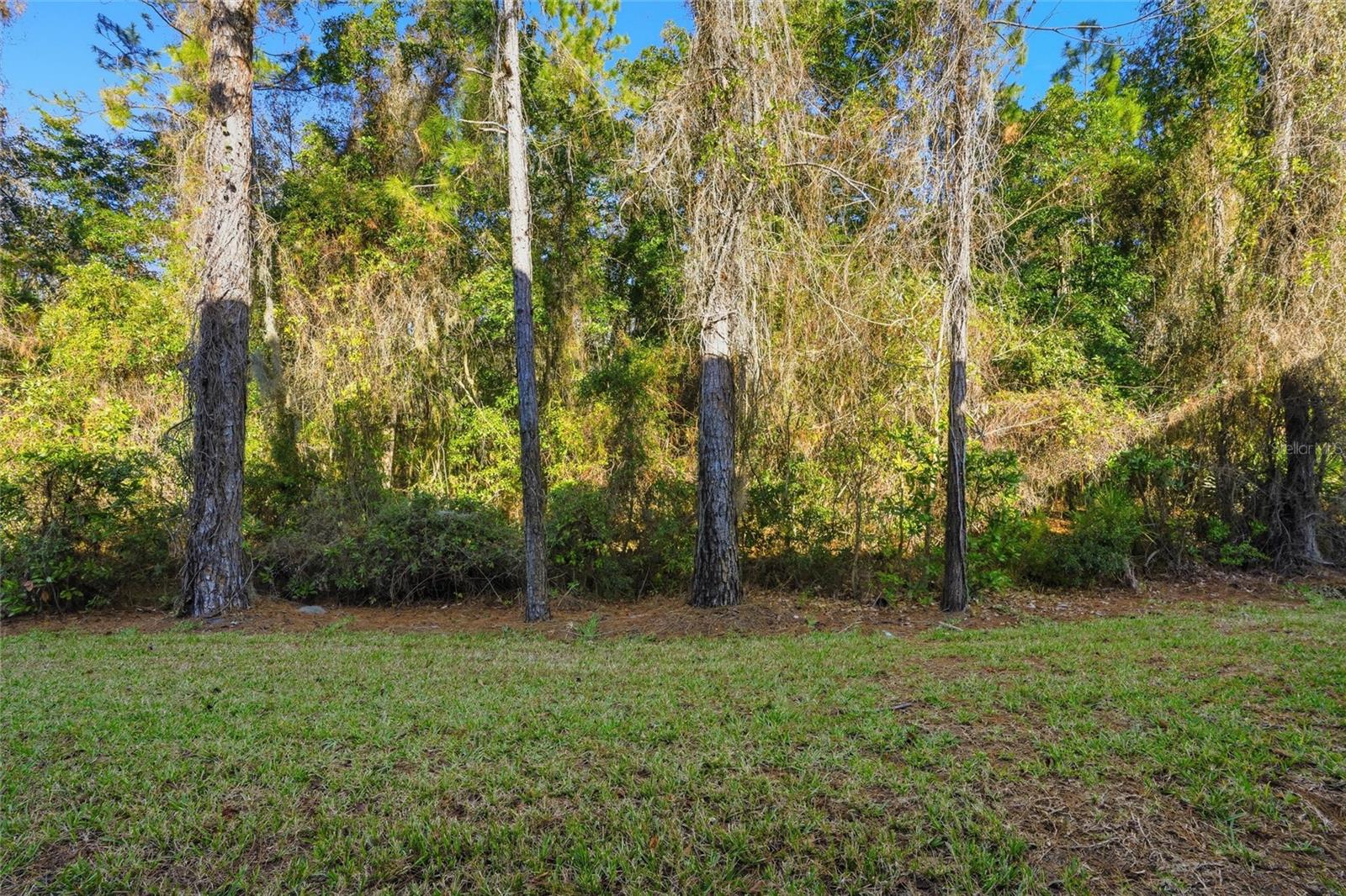 Image 17 of 33 For 96066 Stoney Creek Parkway