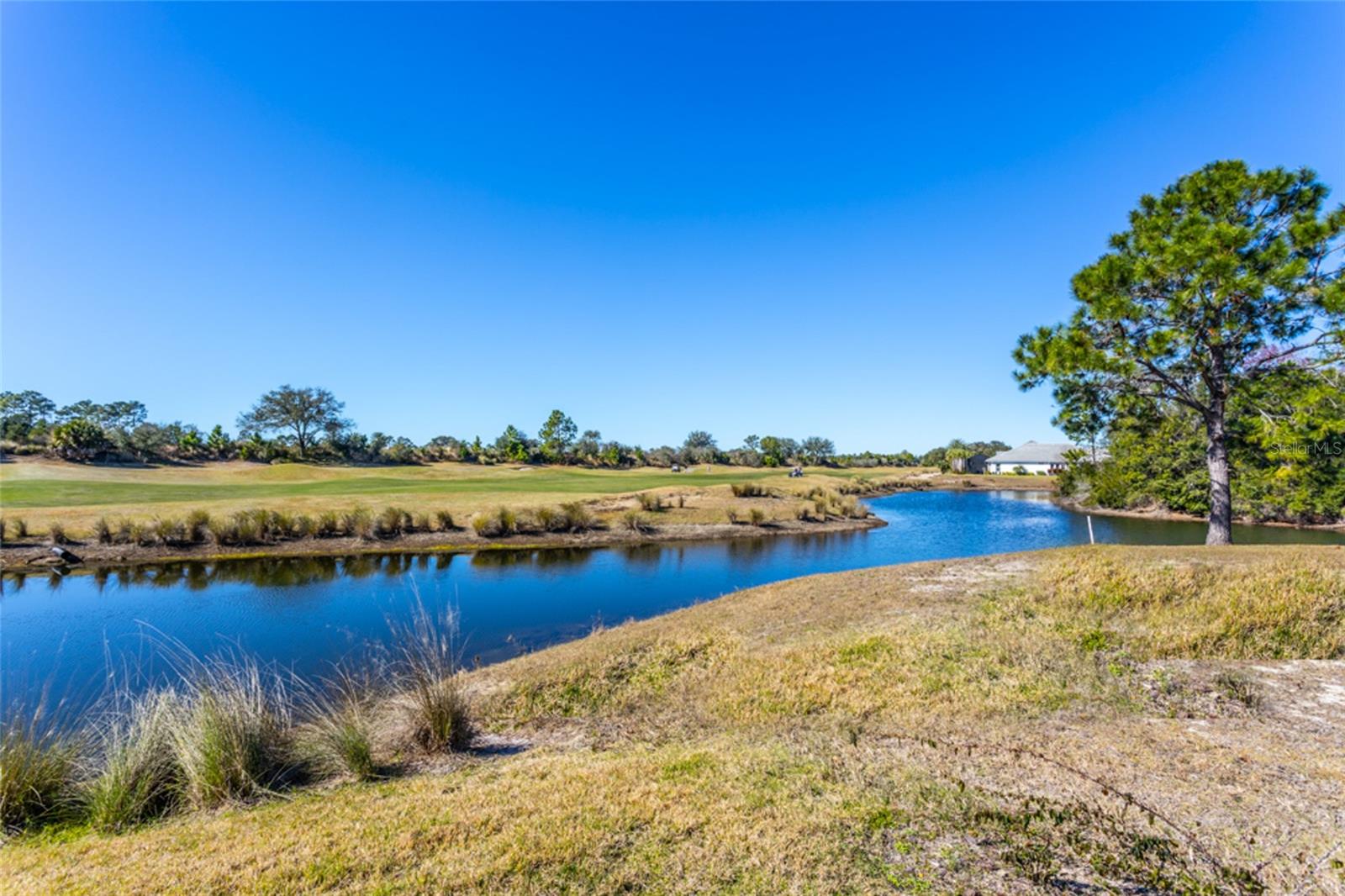 Image 49 of 62 For 462 Sweetgum Lane