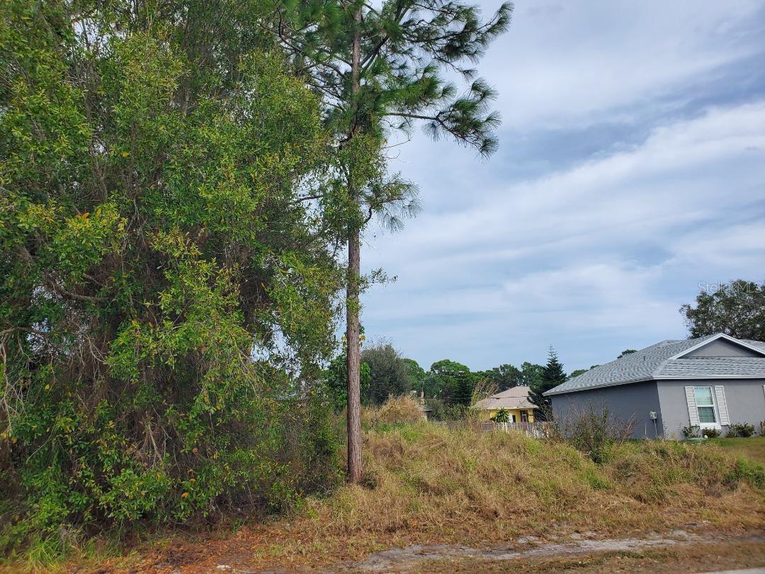 Image 2 of 13 For 1009 Castaneda Lane