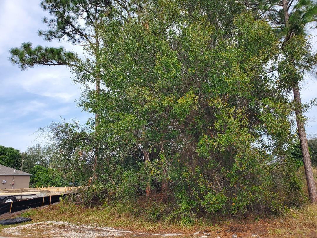 Image 3 of 13 For 1009 Castaneda Lane