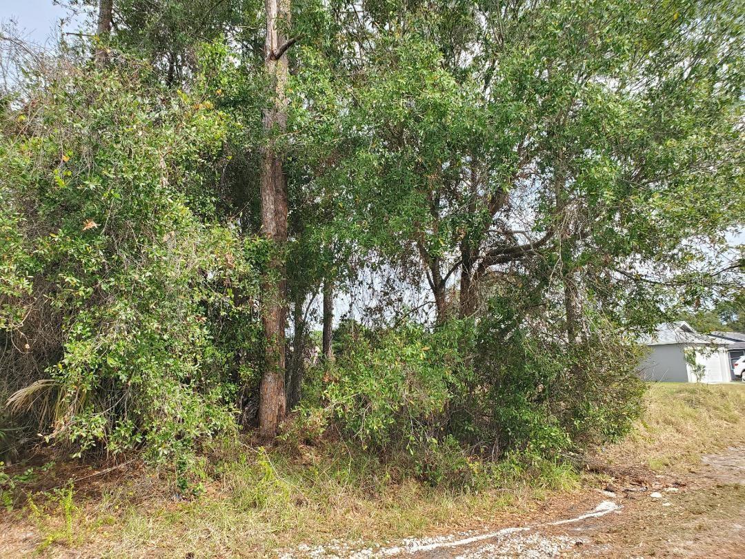 Image 4 of 13 For 1009 Castaneda Lane